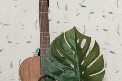 Papel de arroz con pétalos azules – Papel Pintado