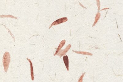Papel de arroz con pétalos marrones – Papel Pintado