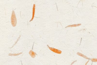 Papel de arroz con pétalos naranjas – Papel Pintado
