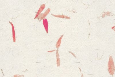 Papel de arroz con pétalos rosas – Papel Pintado