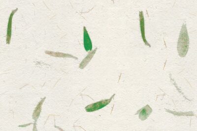 Papel de arroz con pétalos verdes – Papel Pintado