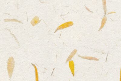 Papel de arroz con pétalos amarillos – Papel Pintado
