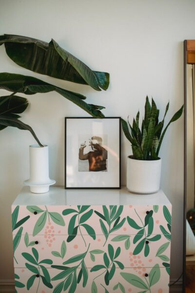 Hojas verdes y bayas rosas – Vinilo para muebles